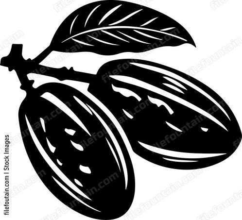Cocoa Beans