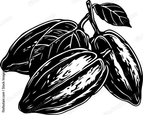 Cocoa Beans