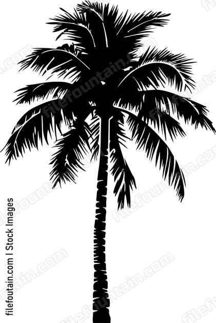 Coconut Tree