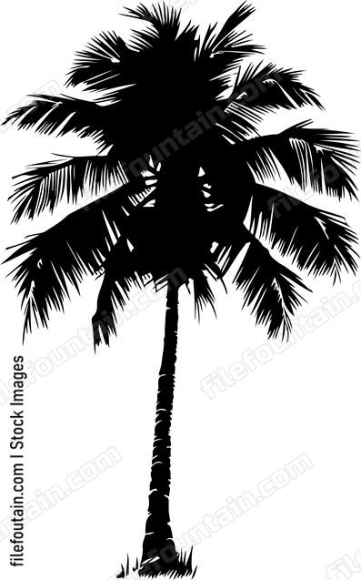 Coconut Tree