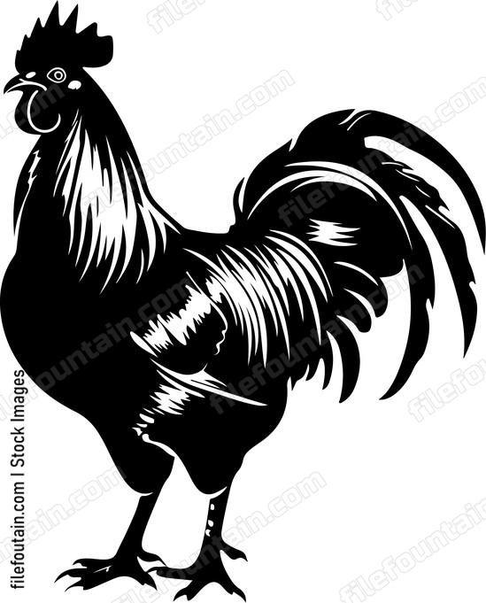 Color Rooster