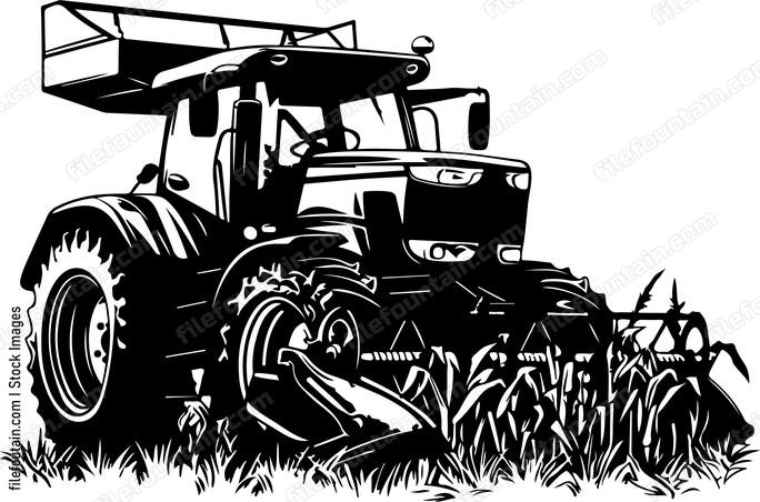 Combine Harvesting Corn St d aa