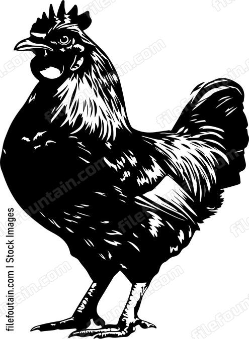 Cool Chicken