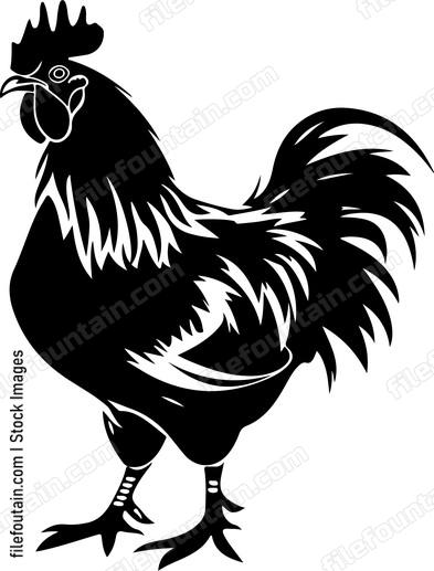 Cool Chicken