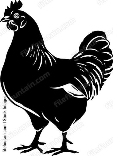 Cool Chicken