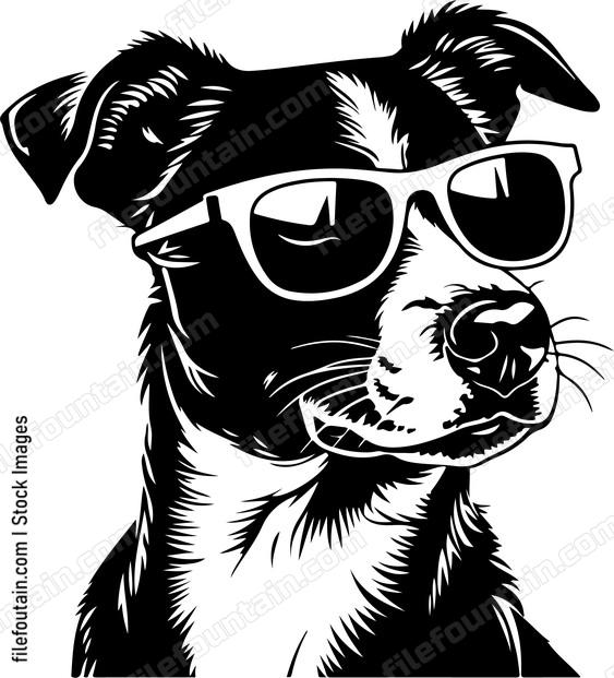 Cool Dog In Sunglasses