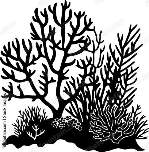 Coral Reefs