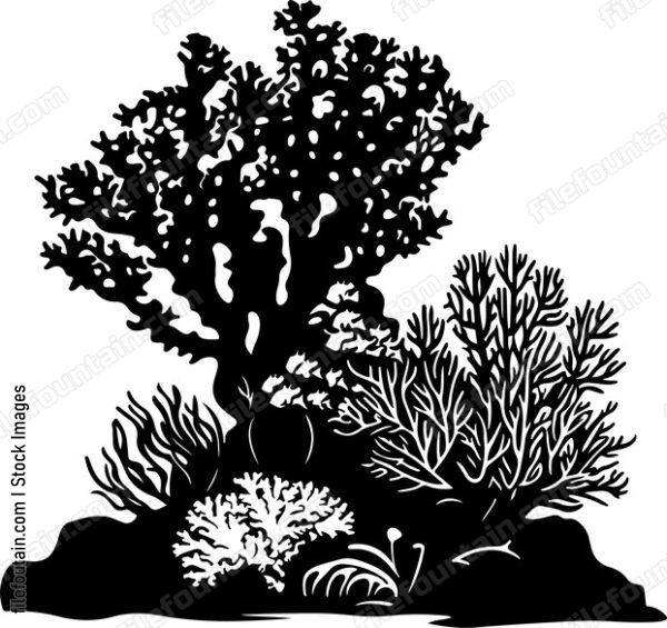 Coral Reefs