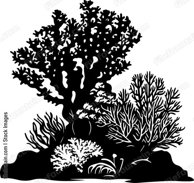 Coral Reefs