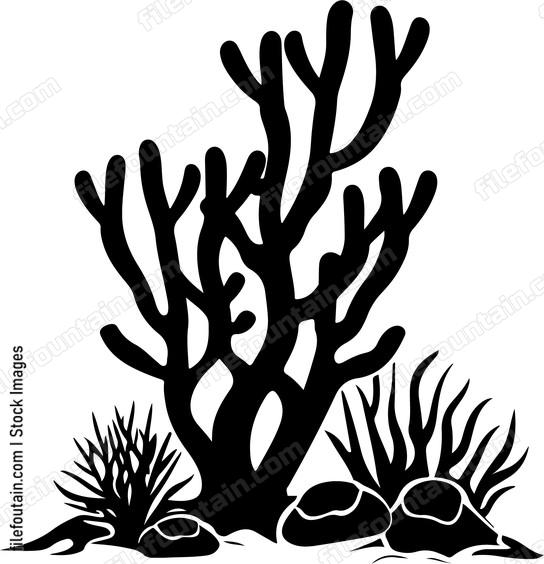 Coral Reefs