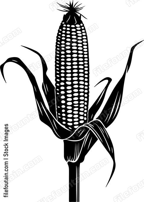 Corn On A Stick