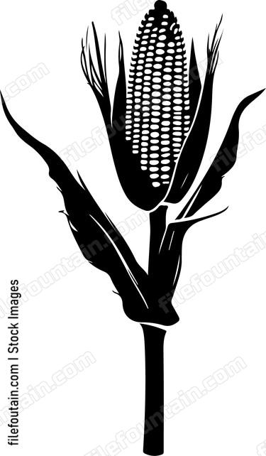 Corn On A Stick