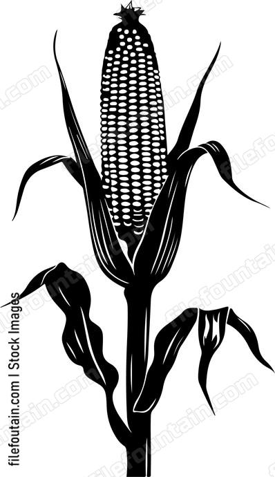 Corn On A Stick