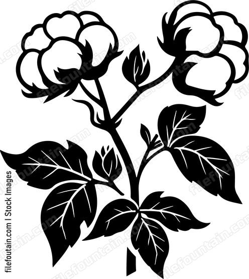 Cotton