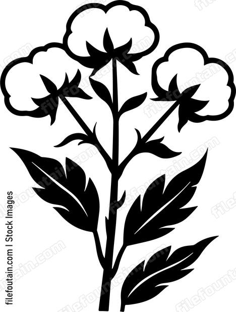 Cotton