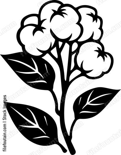 Cotton Style
