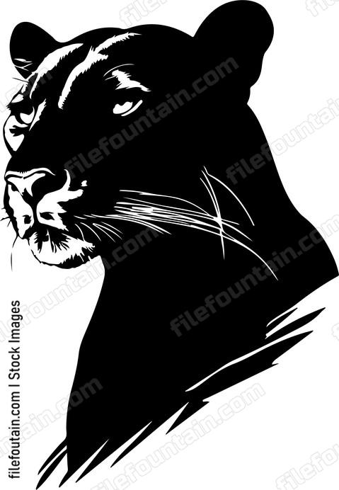 Cougar