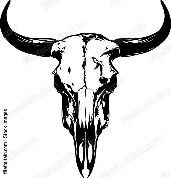 Cow skull sketch