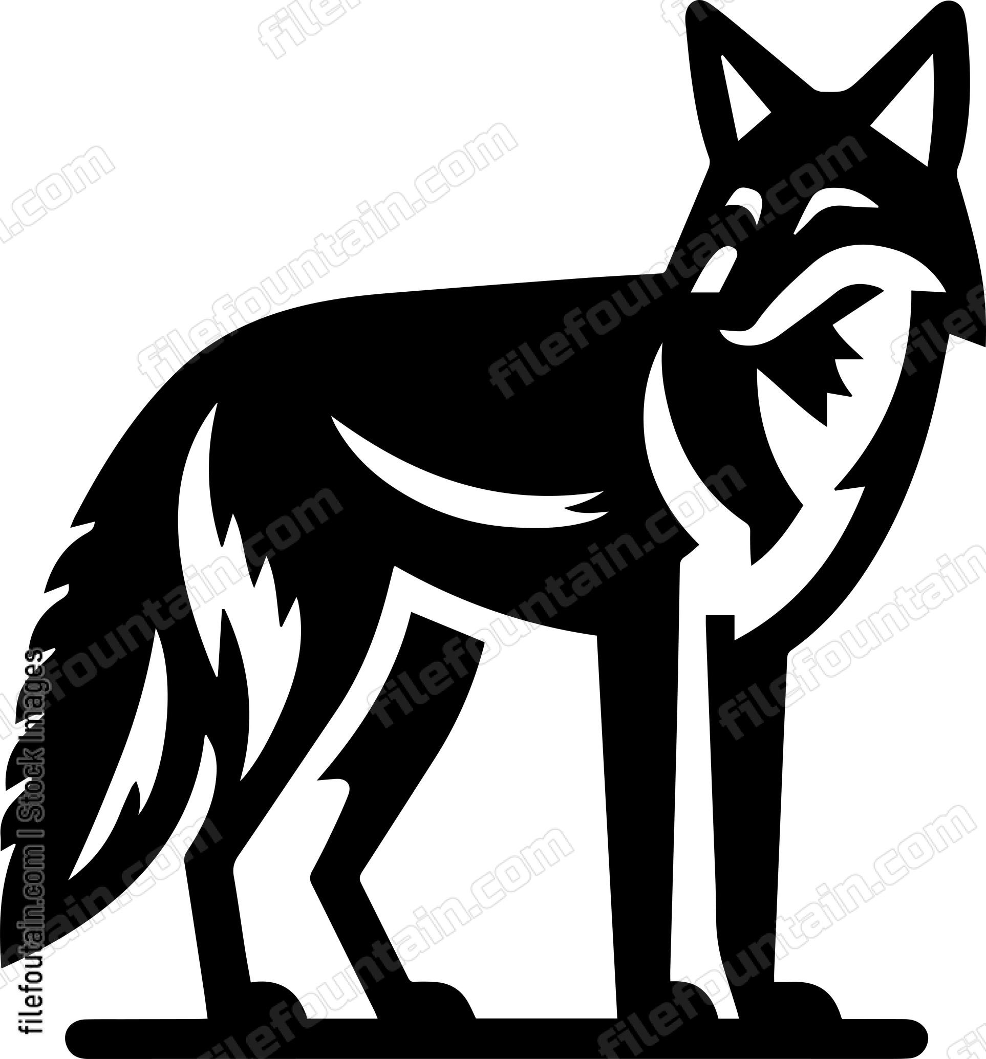 Coyote