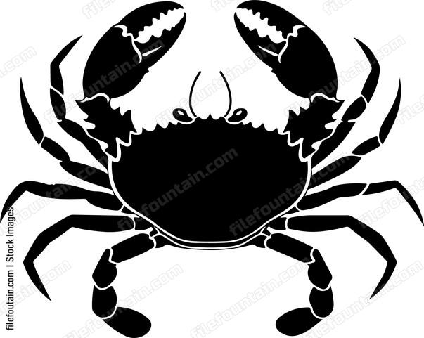 Crab