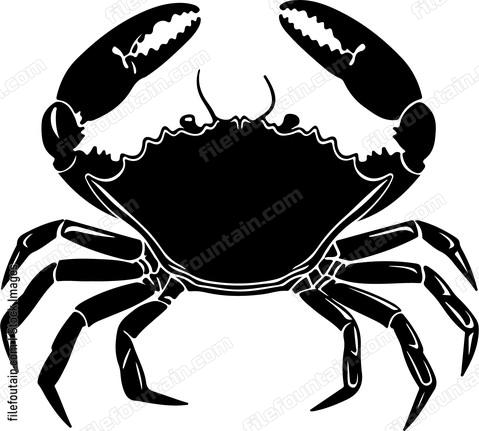 Crab