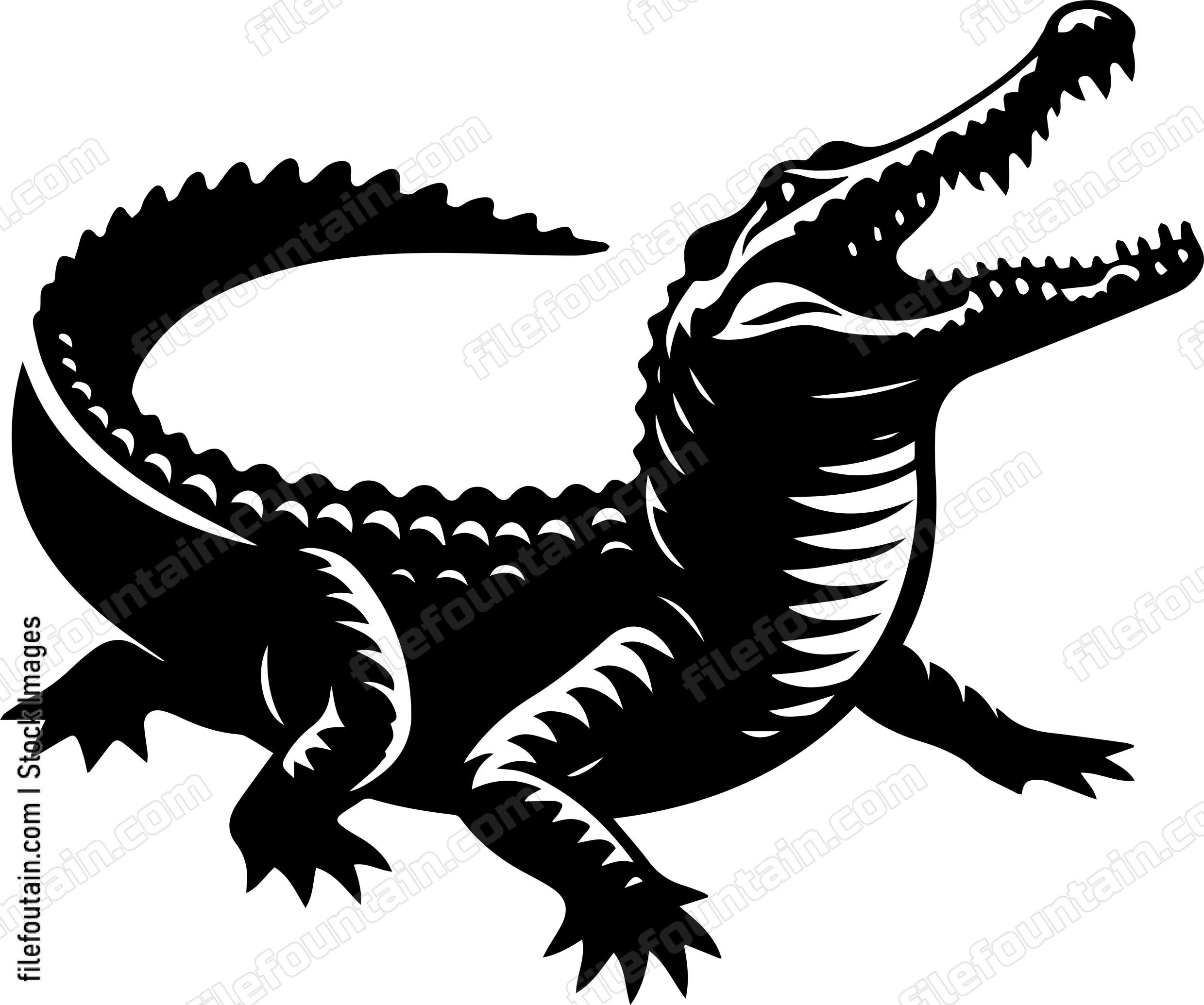 Crocodile