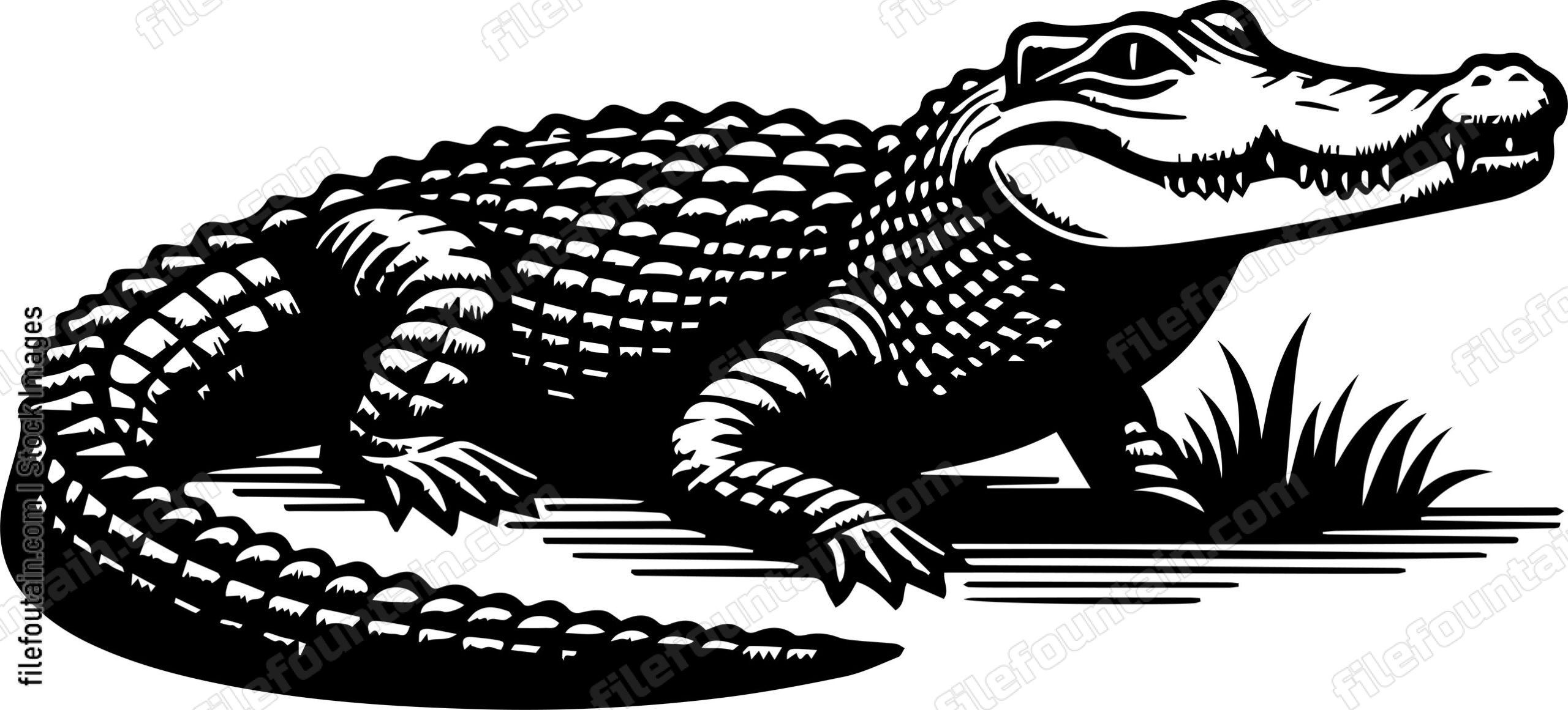 Crocodile