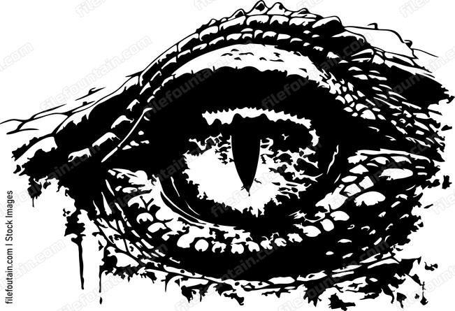 Crocodile Eye
