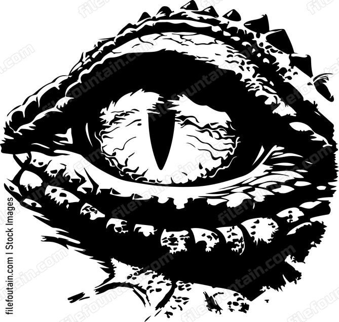 Crocodile Eye