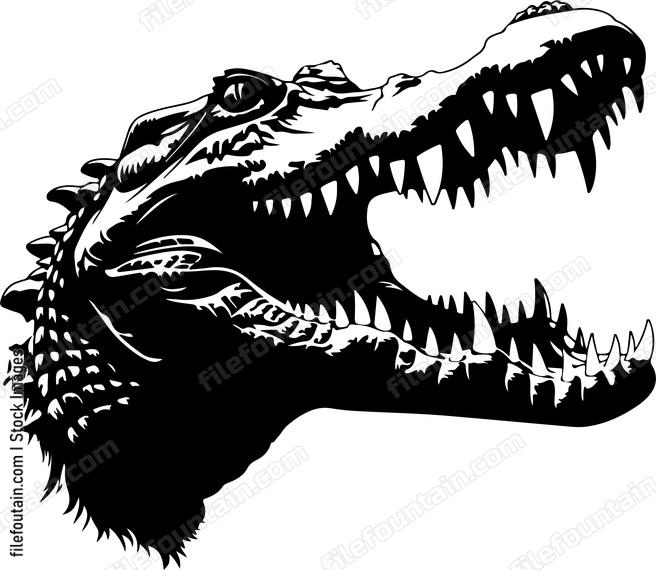 Crocodile Teeth