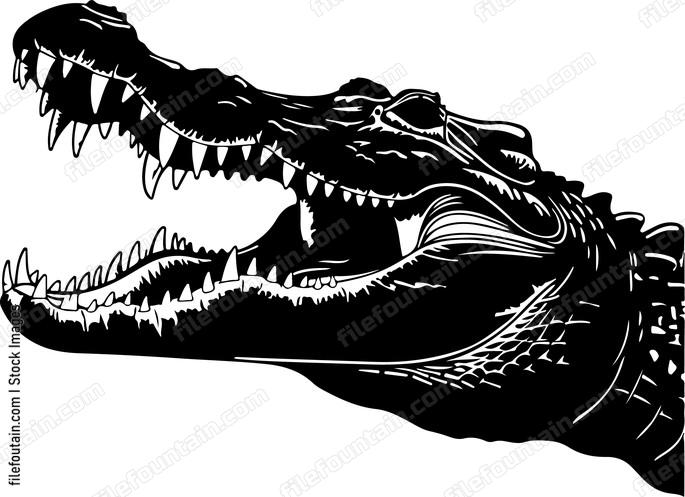 Crocodile Teeth