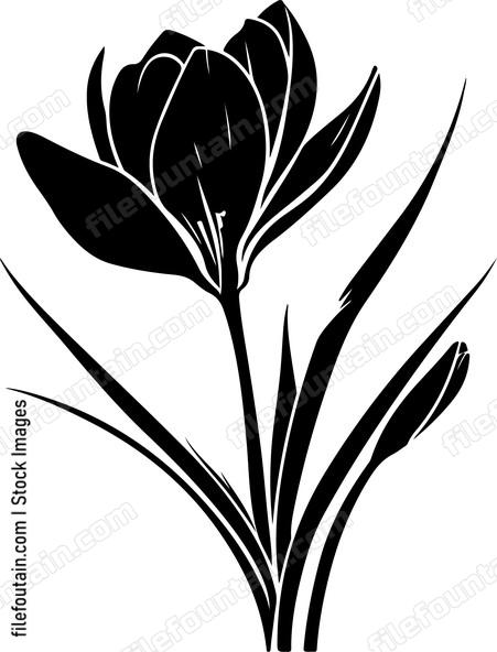 Crocus Flower Single
