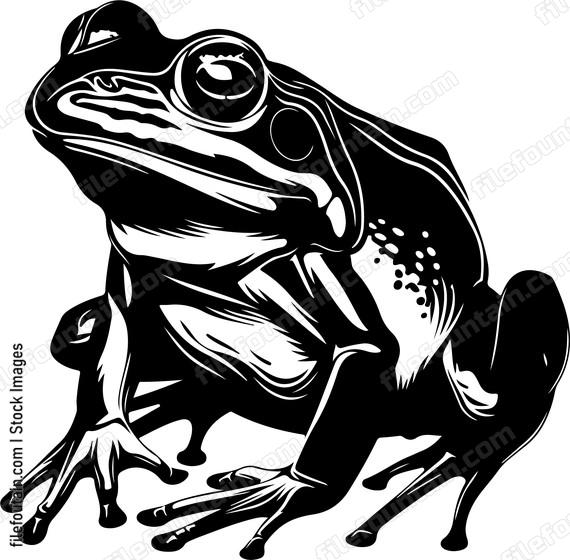 Curious amphibian creature