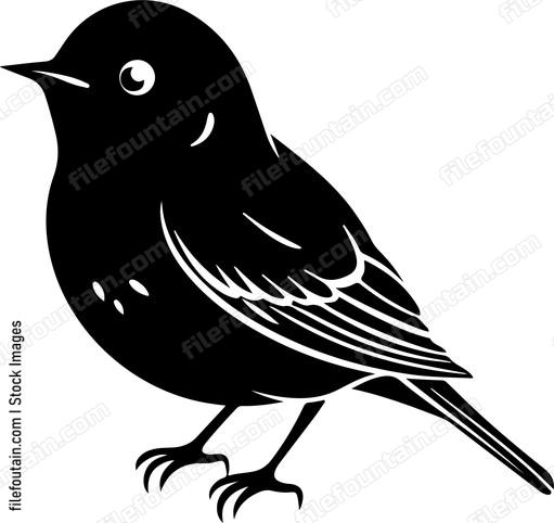 Cute Bird