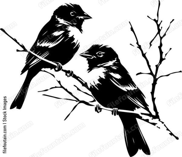 Cute Birds On A Branch