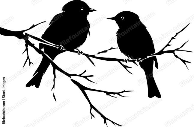 Cute Birds On A Branch