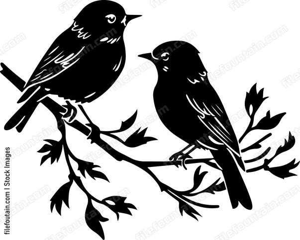 Cute Birds On A Branch