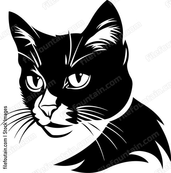 Cute Cat