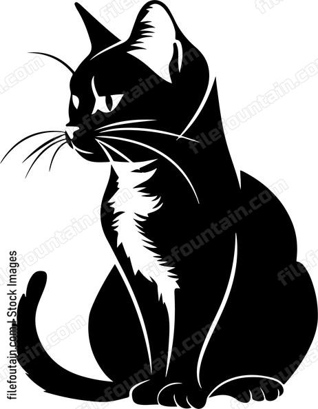 Cute Cat