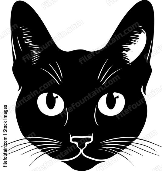 Cute Cat Big Eyes