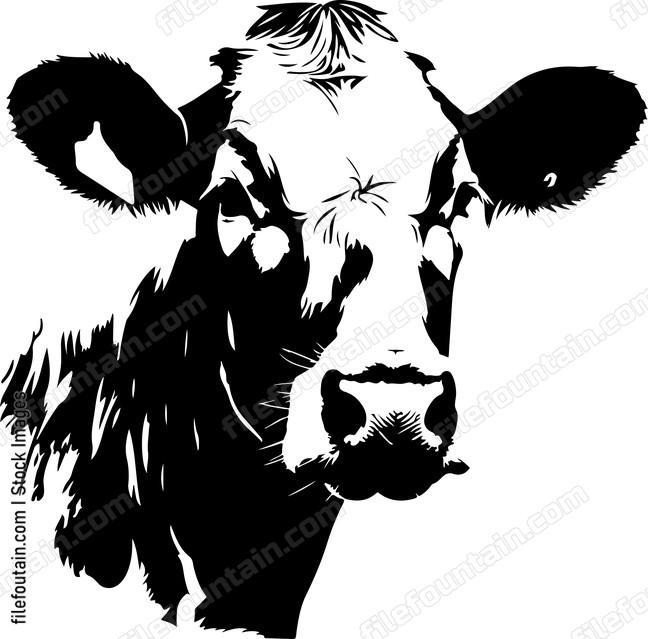 Cute Cow