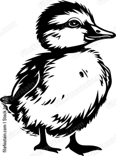 Cute Duckling