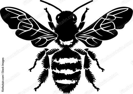 Cute Honey Bee
