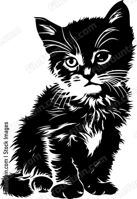 Cute Kitten