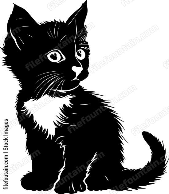 Cute Kitten