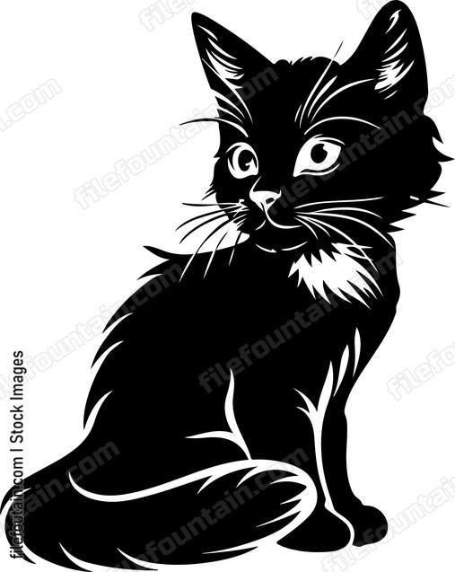 Cute Kitten
