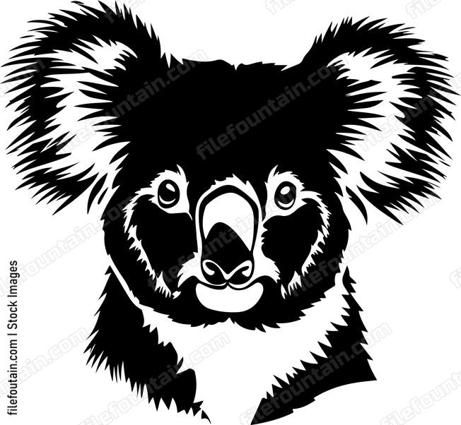 Cute Koala