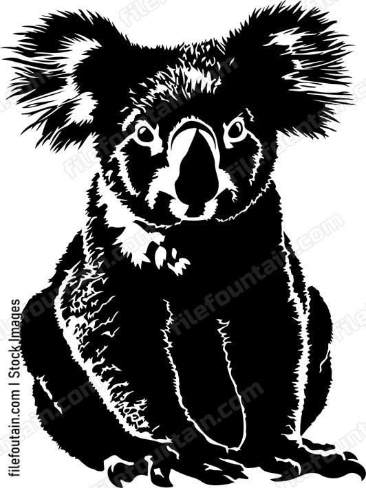 Cute Koala