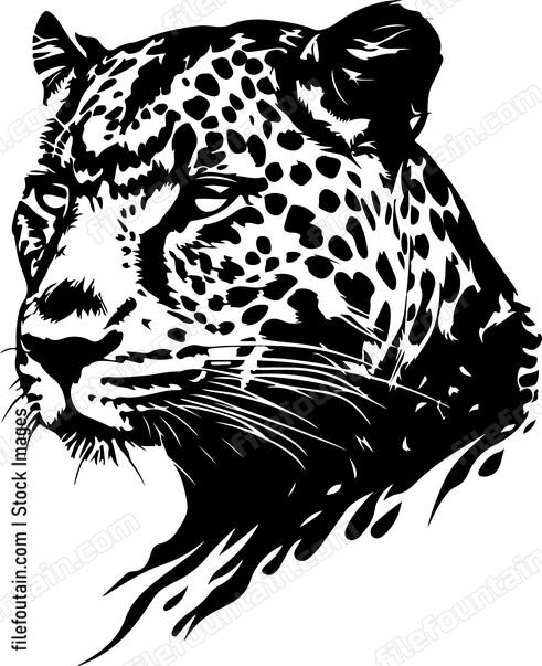 Cute Leopard