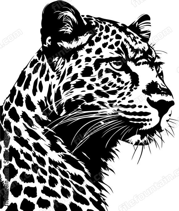 Cute Leopard
